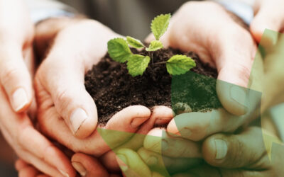 Centro de Educação Profissional de Santa Inês realiza evento sobre conscientização ambiental