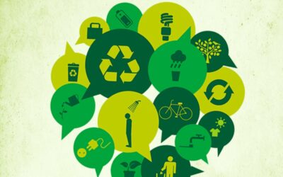 Semana do Meio Ambiente conscientiza sobre ideias e hábitos da humanidade