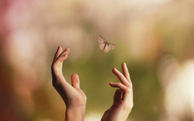 Projeto “Surdez: silêncio em vôo de borboleta!” inicia em Santa Inês