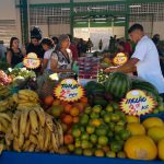 Aprendizes do Senac orientam vendedores na Feira da Nova Imperatriz